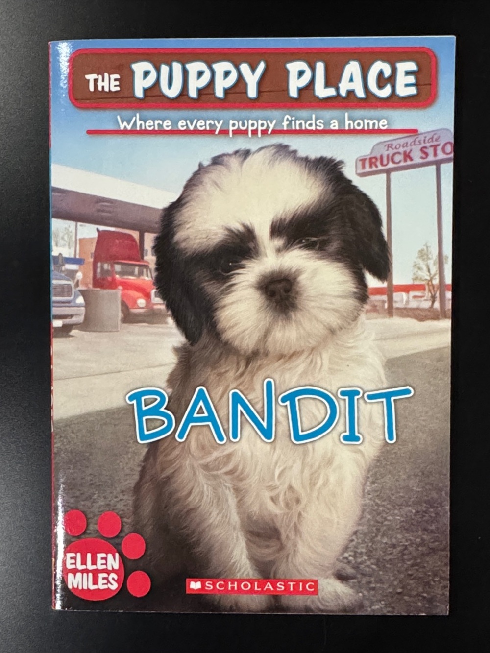 The Puppy Place #24: Bandit by Ellen Miles - Scholastic Paperback Novel
